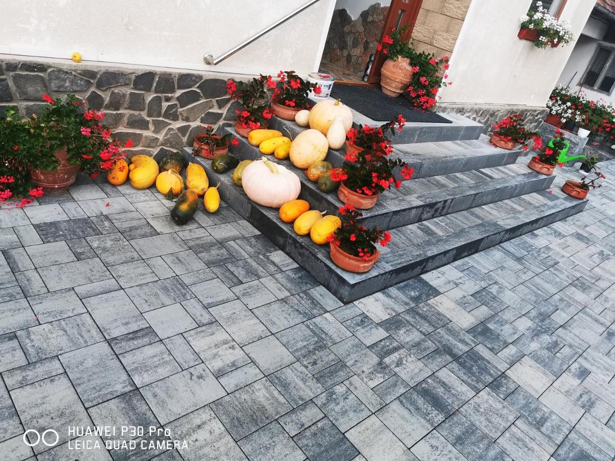 Sepsi Relax Hotel Sfantu Gheorghe  ภายนอก รูปภาพ