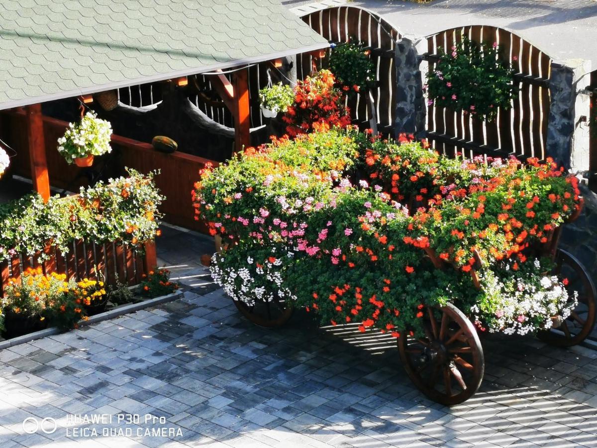 Sepsi Relax Hotel Sfantu Gheorghe  ภายนอก รูปภาพ