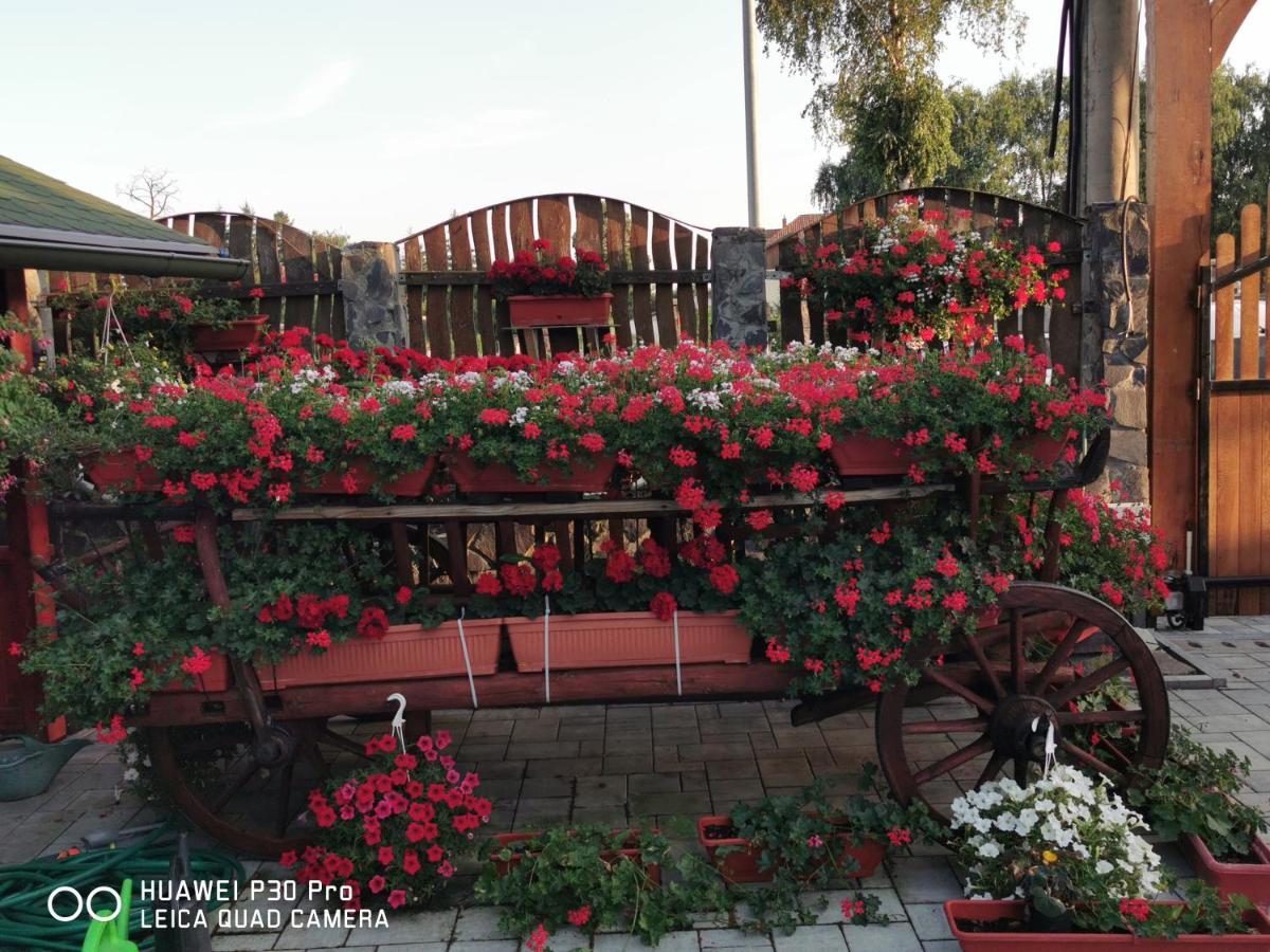 Sepsi Relax Hotel Sfantu Gheorghe  ภายนอก รูปภาพ