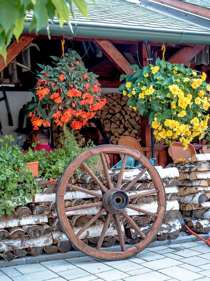 Sepsi Relax Hotel Sfantu Gheorghe  ภายนอก รูปภาพ