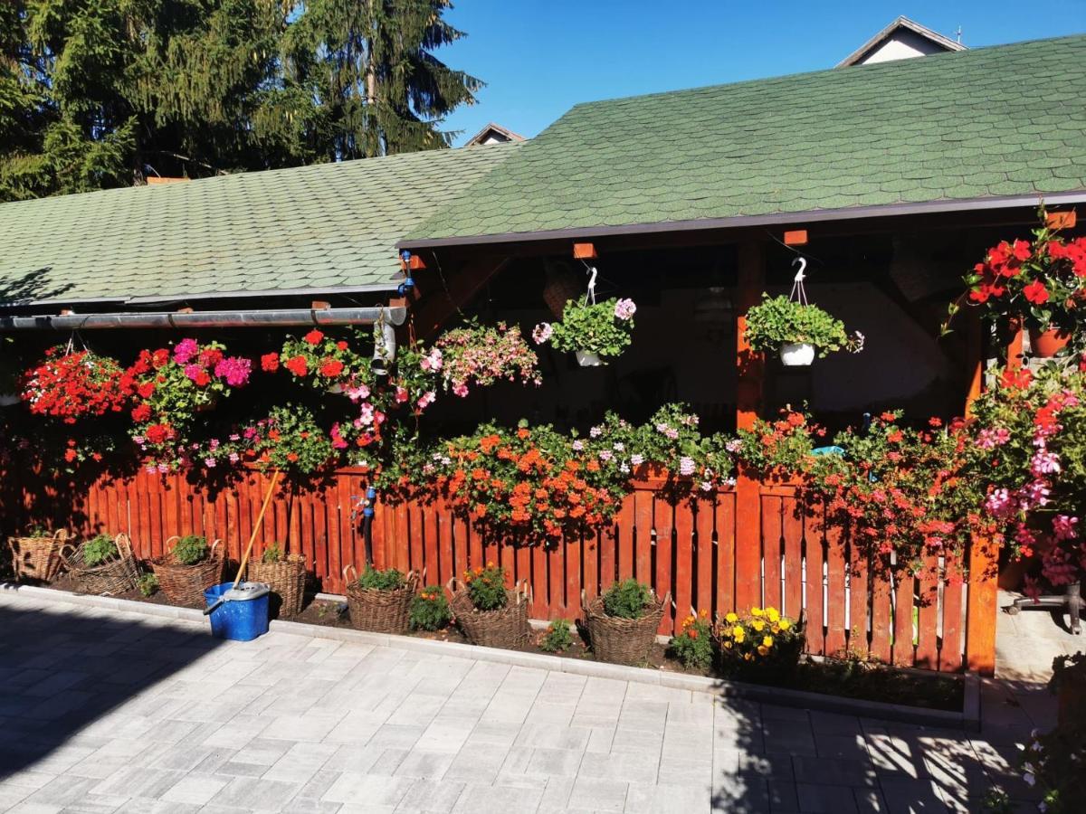 Sepsi Relax Hotel Sfantu Gheorghe  ภายนอก รูปภาพ