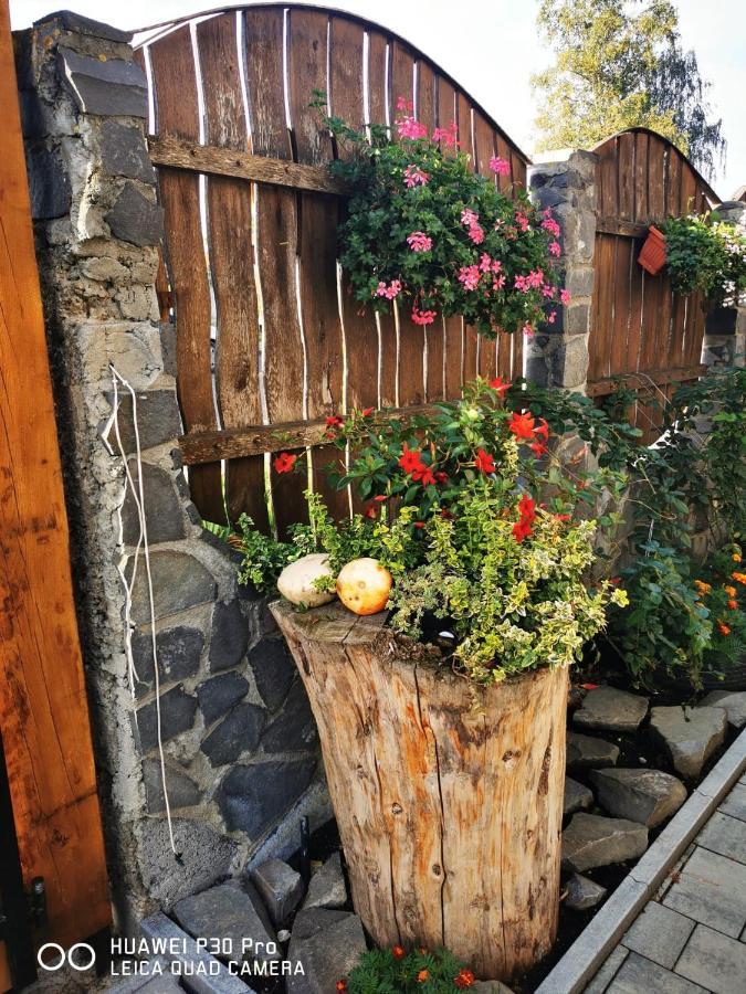 Sepsi Relax Hotel Sfantu Gheorghe  ภายนอก รูปภาพ