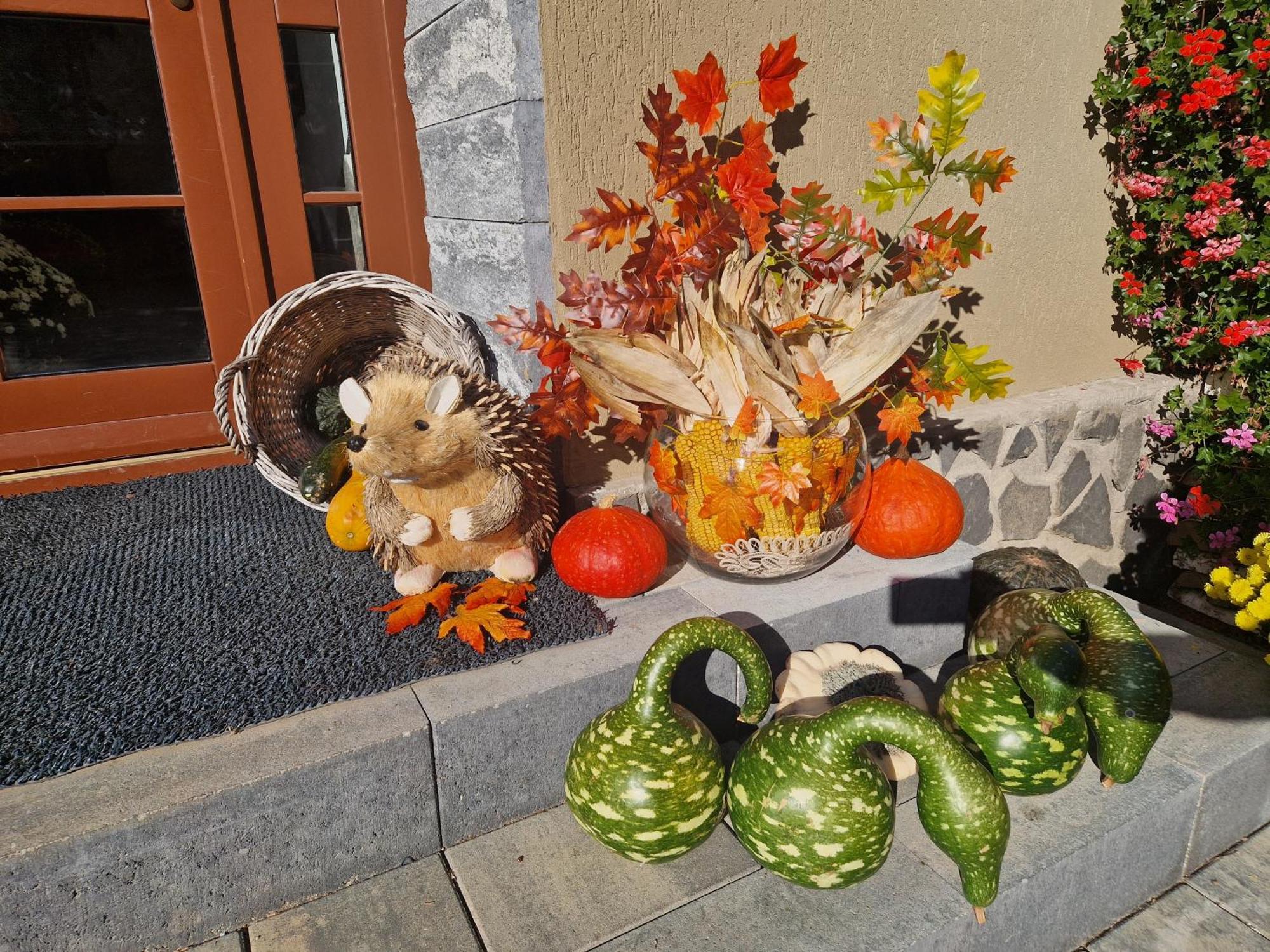 Sepsi Relax Hotel Sfantu Gheorghe  ภายนอก รูปภาพ